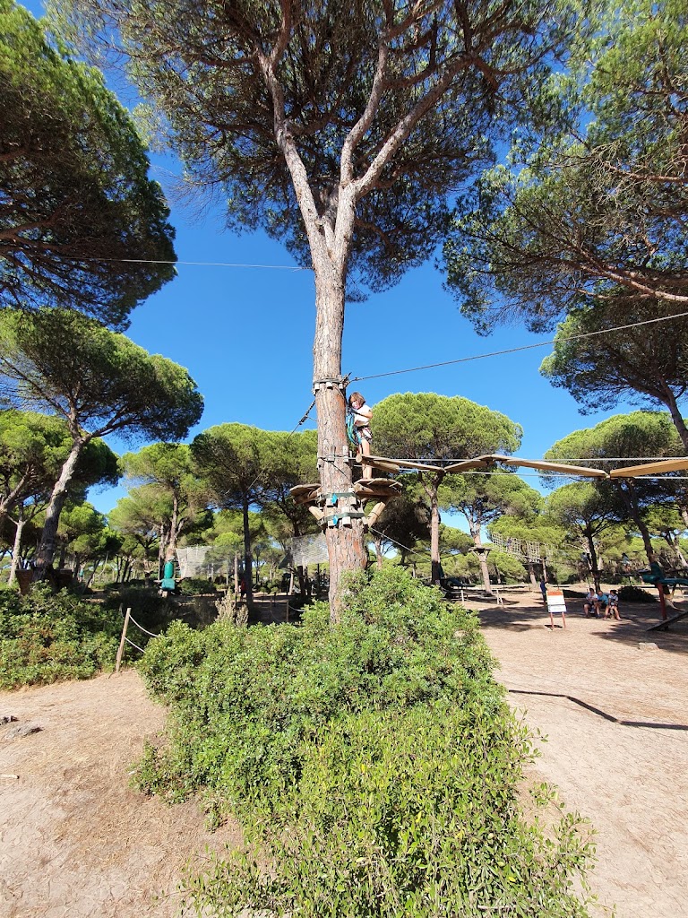 Entre Ramas Aventura S.L