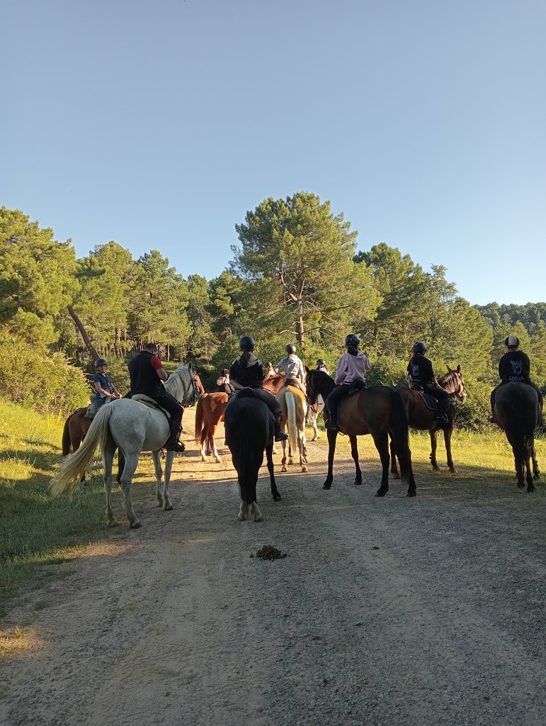 Centro Hipico Los Llanos