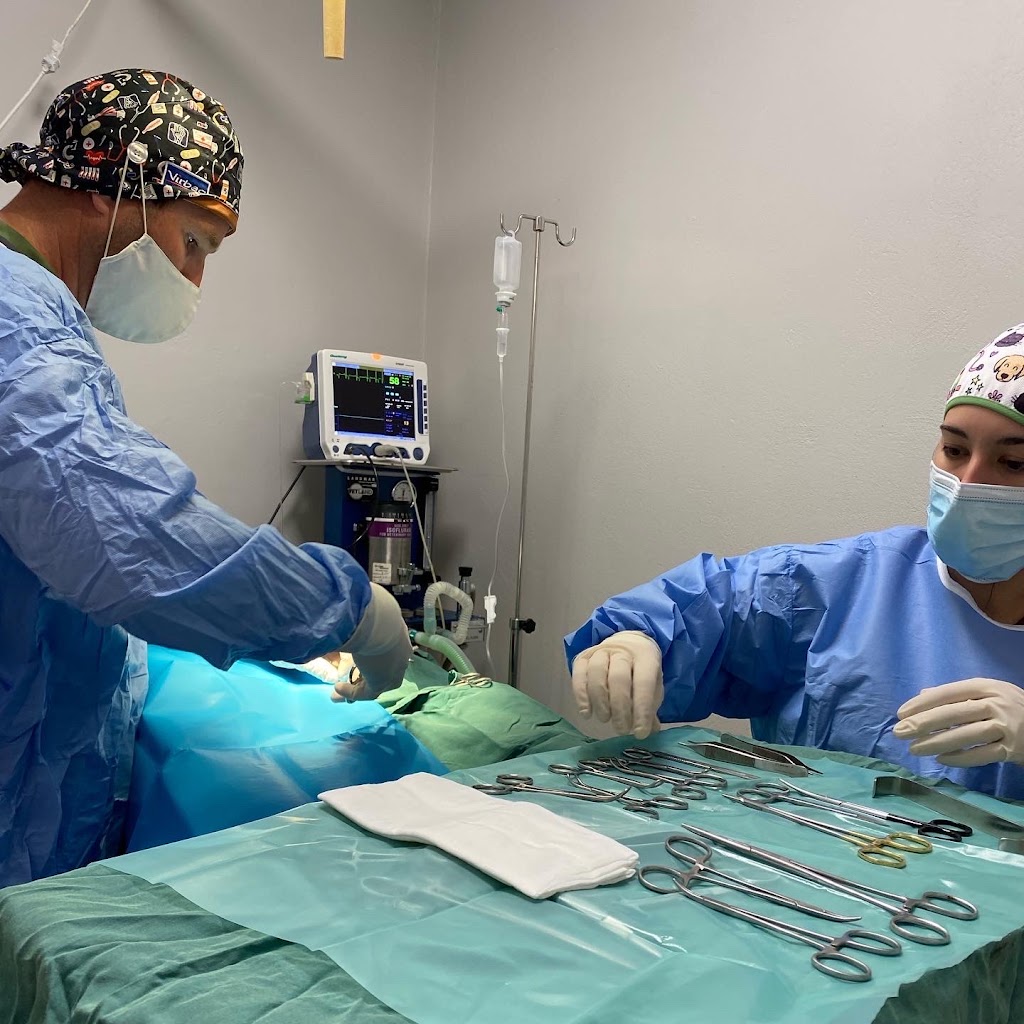 Clinica Veterinaria Antonio Serrano — Del propietario