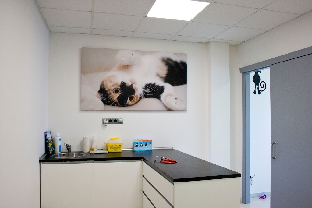 Pinetons Veterinaria — Del propietario