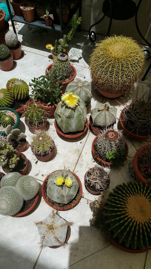 Taller Graziani Chapa y Pintura