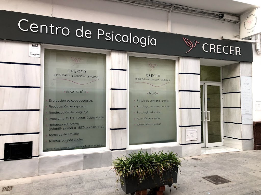 Centro Crecer Psicologia, pedagogia y lenguaje