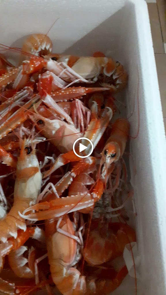 Vins i Tapes Galileu — Videos