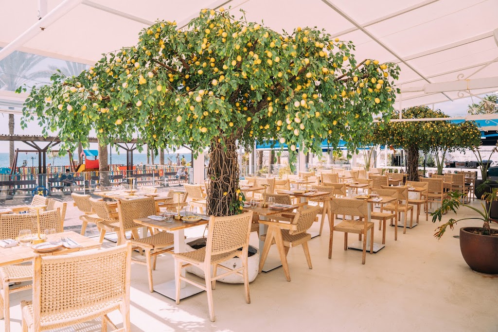 Limonella Italian Restaurant