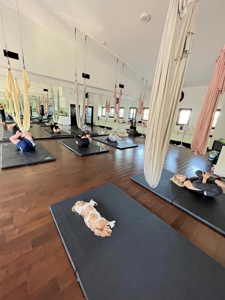  Dancing Kitty Yoga Studio