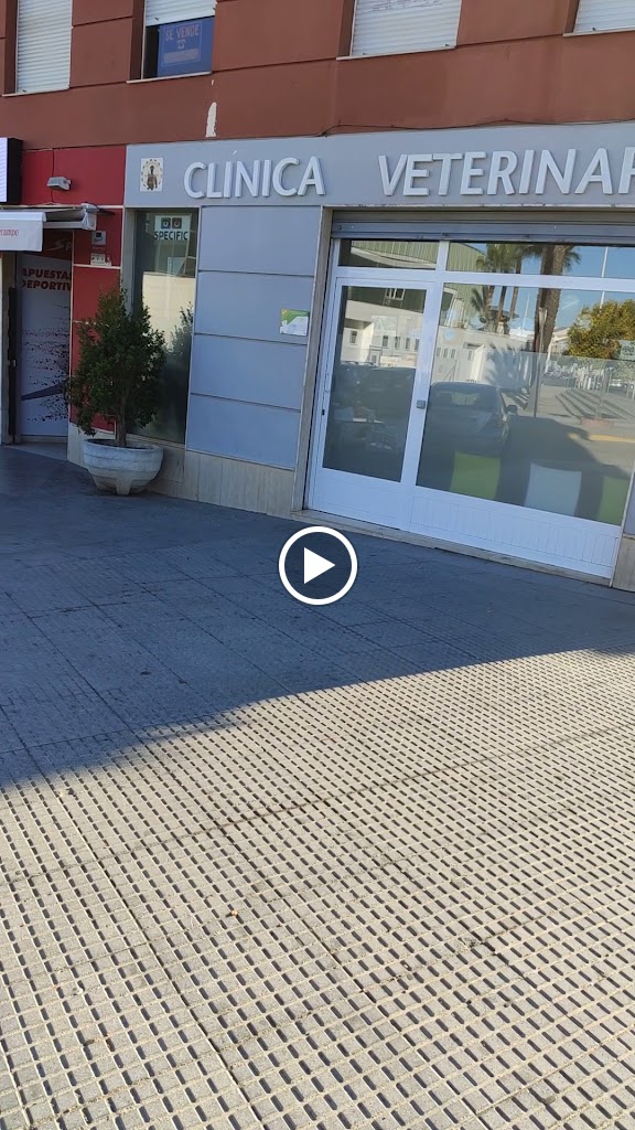 EL COFRE Salon De Juegos — Videos
