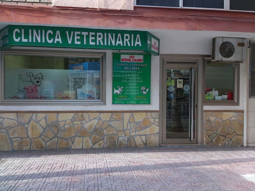Clinica Veterinaria Kelibia — Del propietario