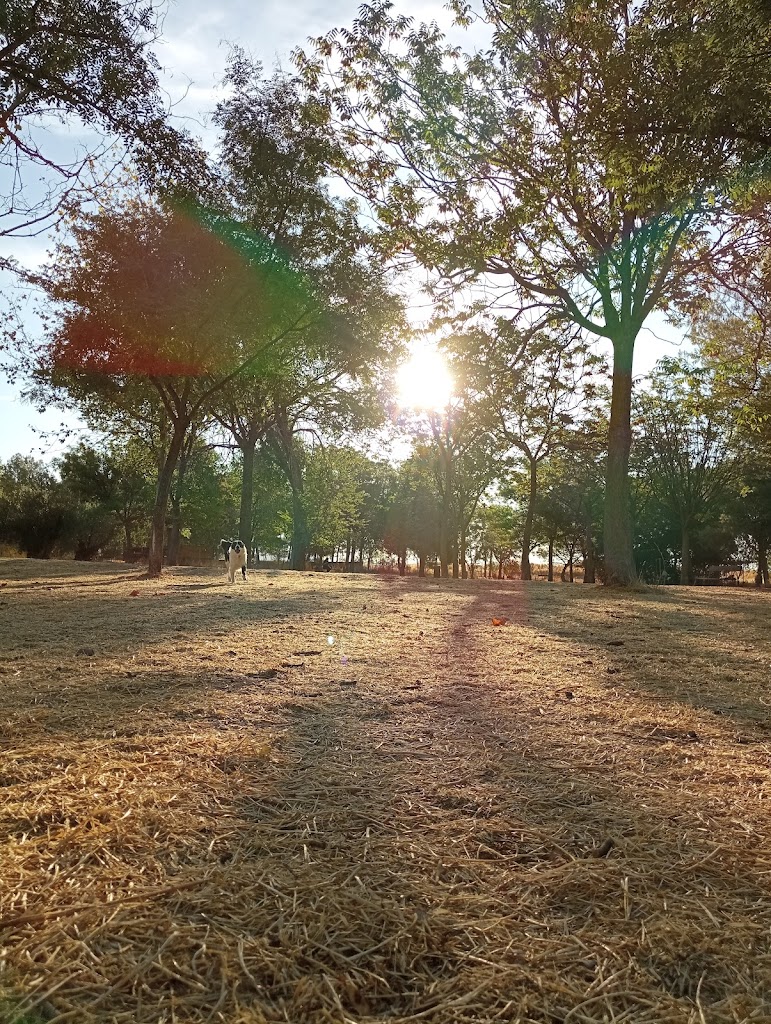 Parque del Pozo Norte.