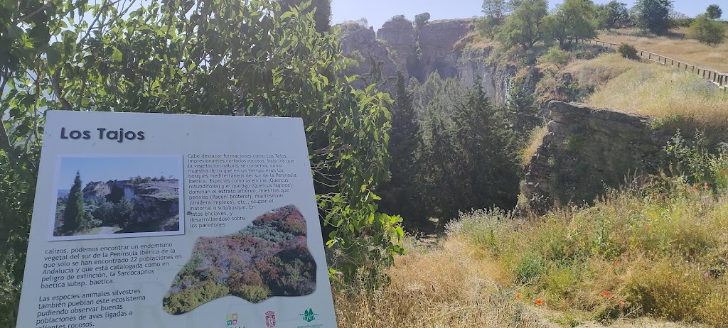Zona de escalada los Tajos