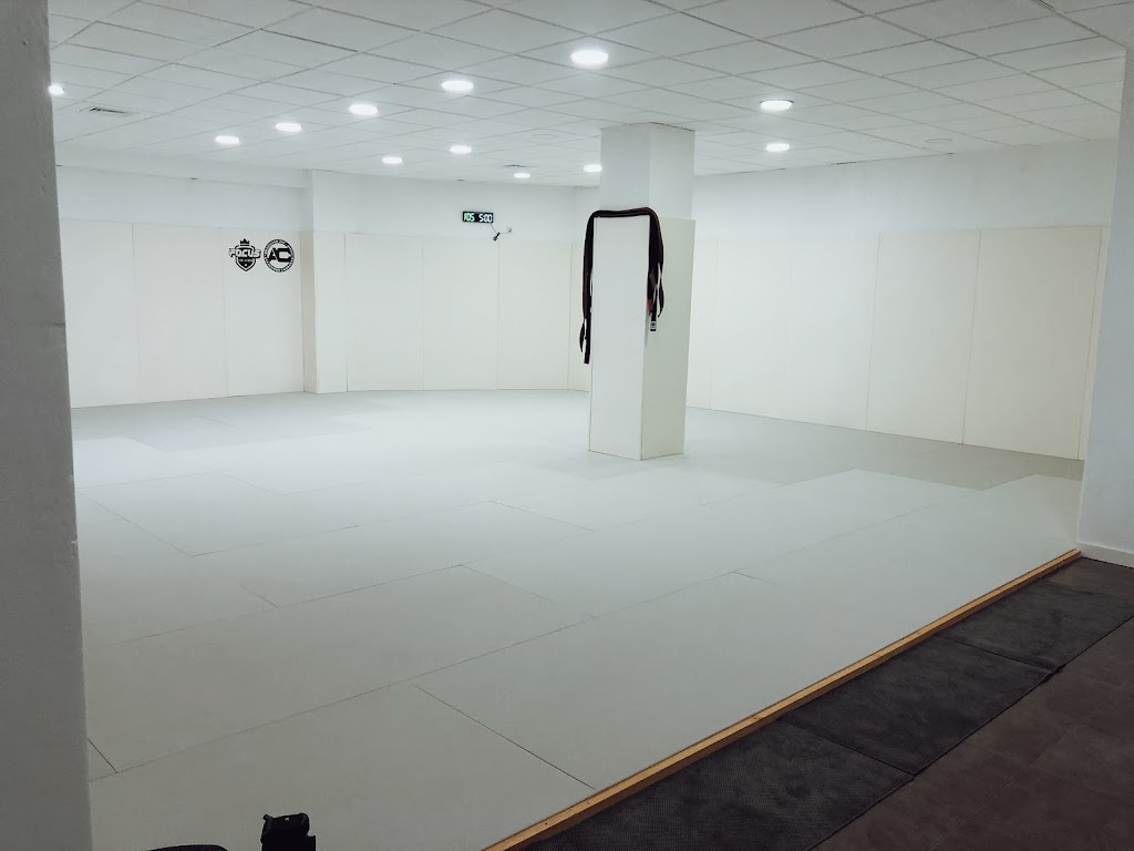 ILICE JIU JITSU ACADEMY