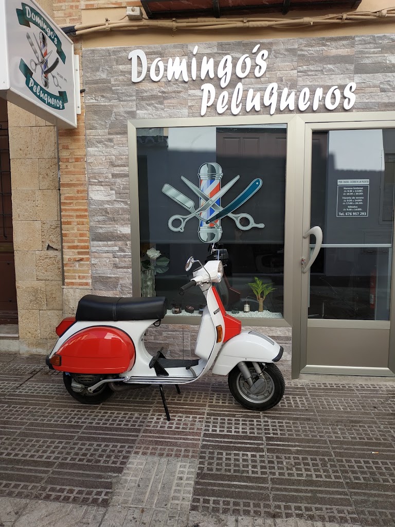 Domingos peluqueros — Del propietario