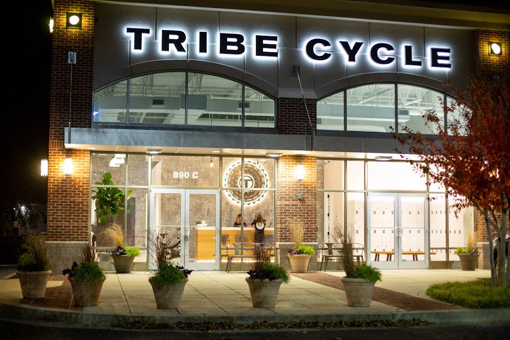 Tribe Cycle