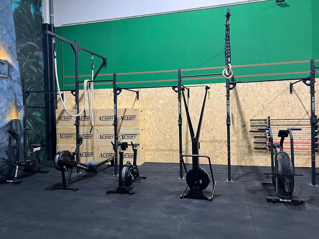 CrossFit Blue Raptor — Ejercicio fisico