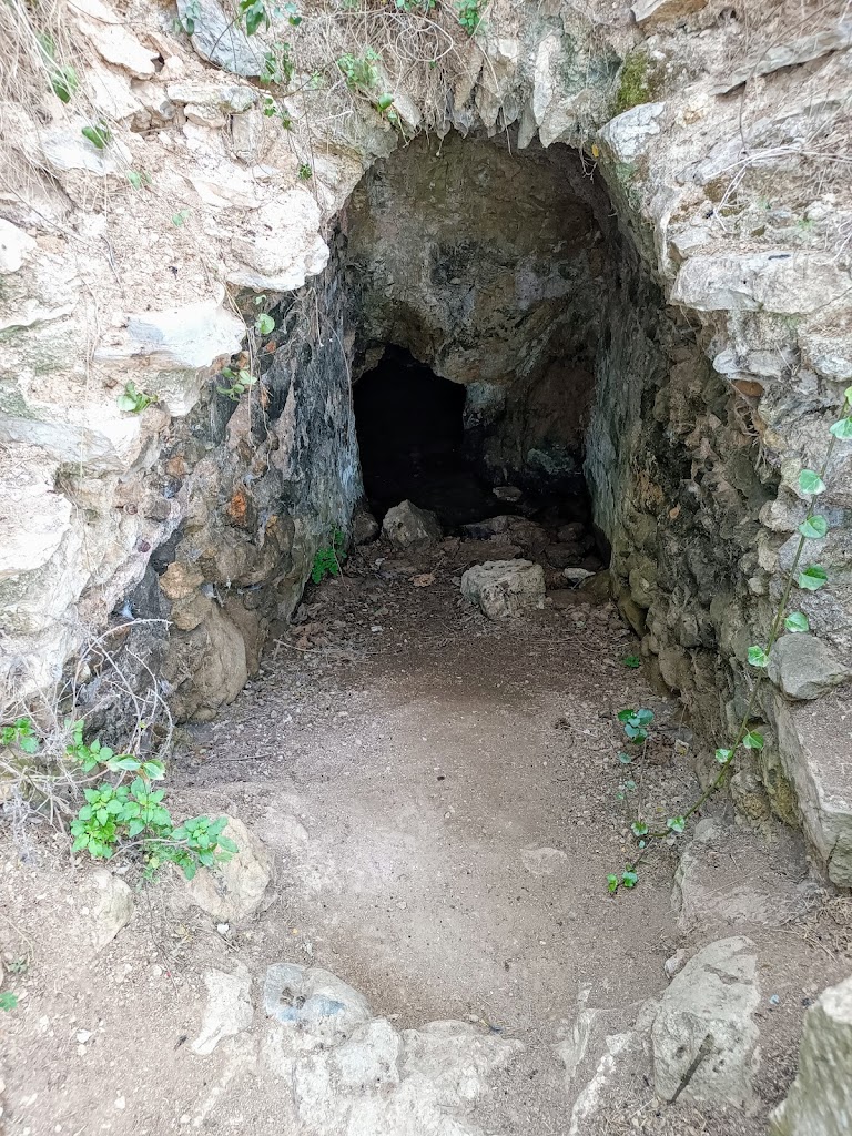 La Fuente del Sapo