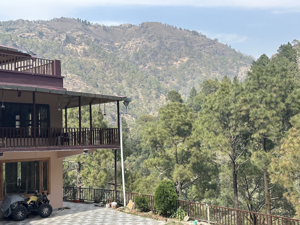 Memmsta Nature Roar Nainital
