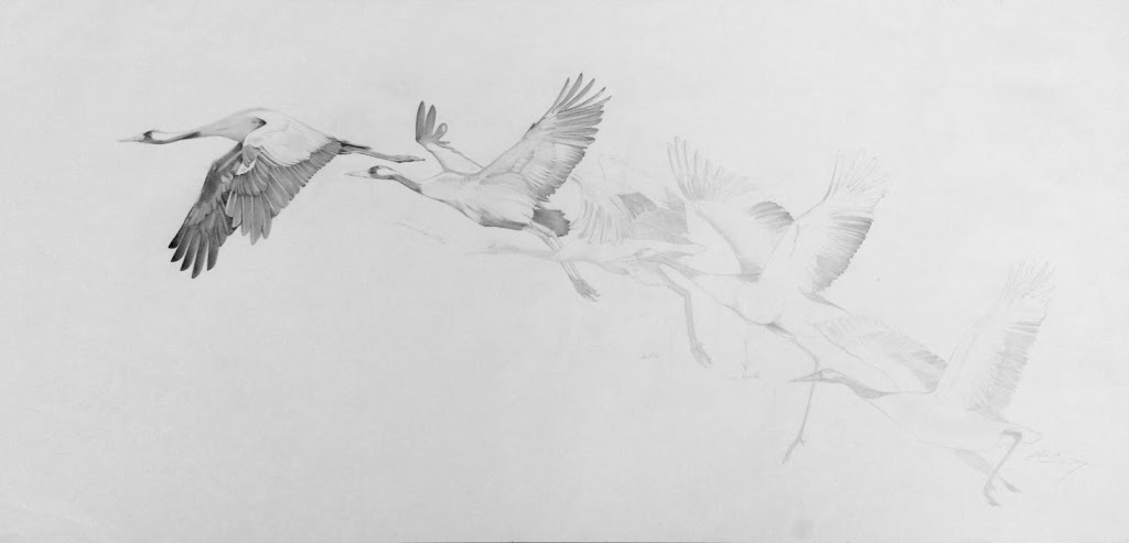 L' Academia de les arts