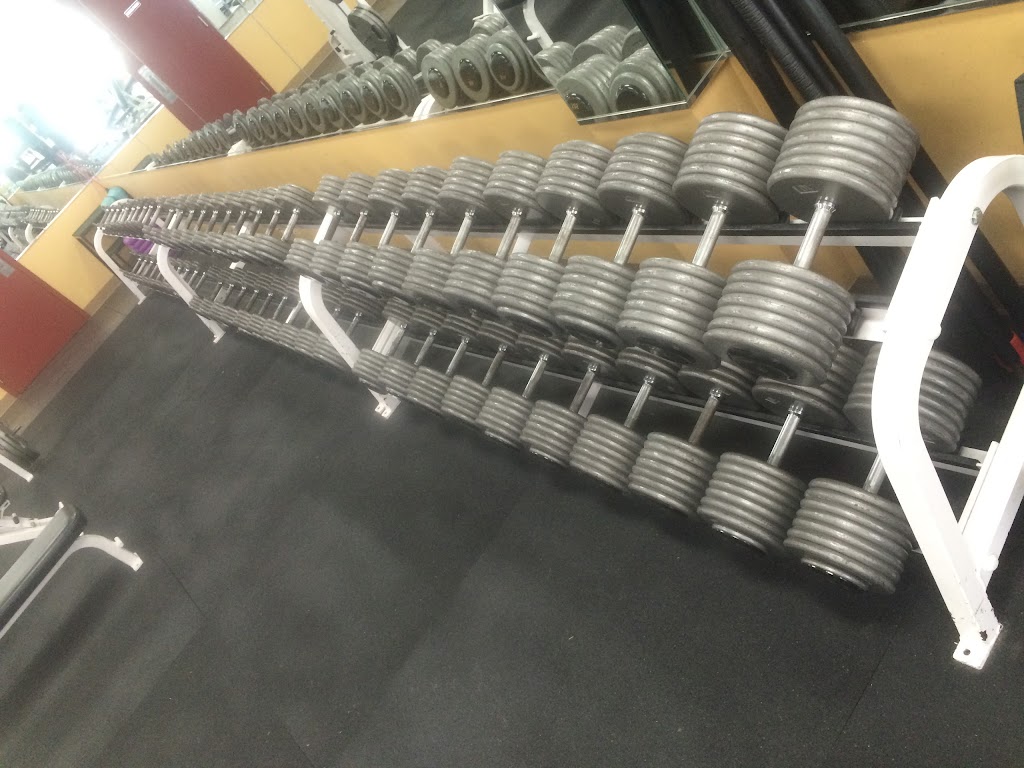  Members Fitness Club