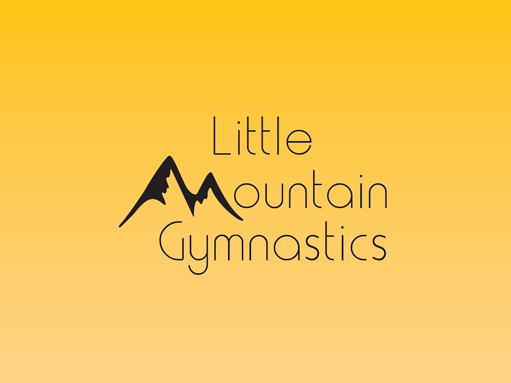  Little Mountain Gymnastics