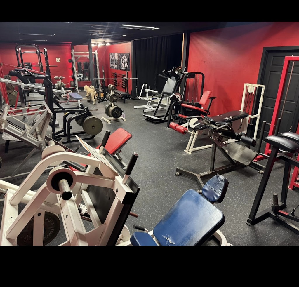  Fitness Mafia Athletics