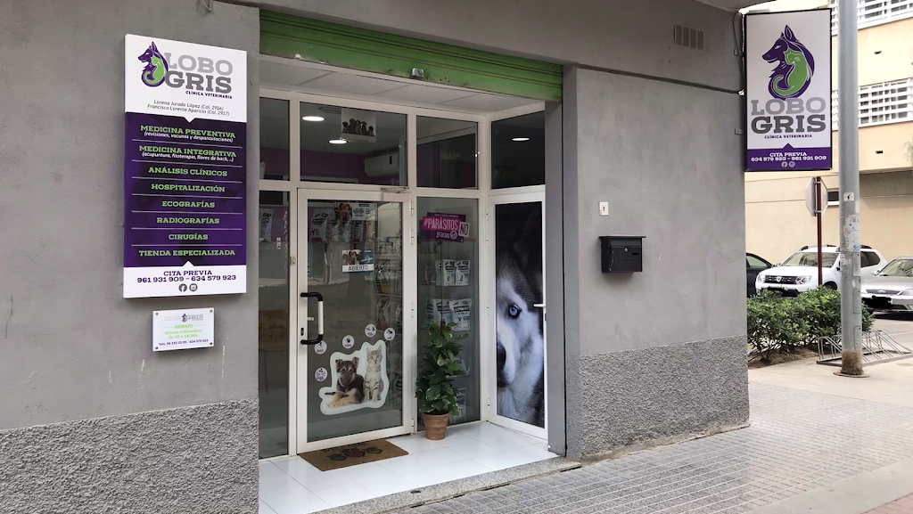 Clinica Veterinaria Lobo Gris