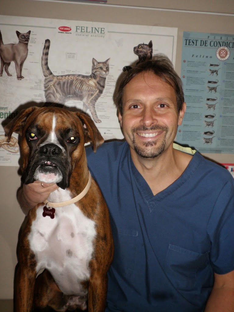 Centro Veterinario Eduna — Gato