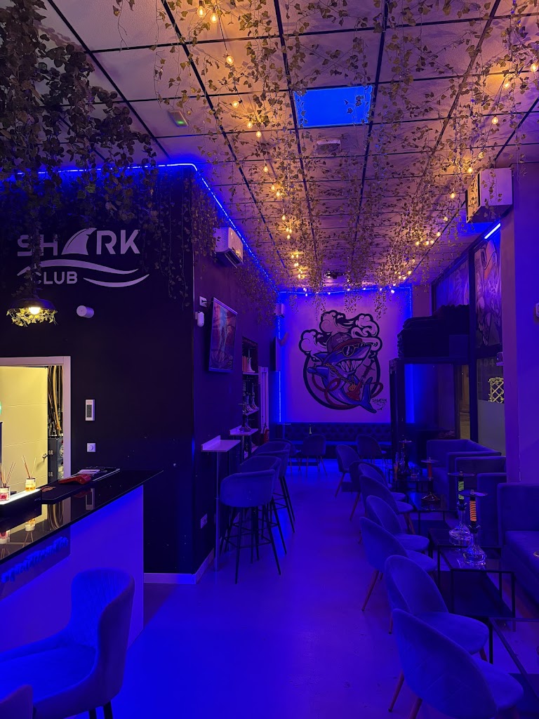 Shark Club