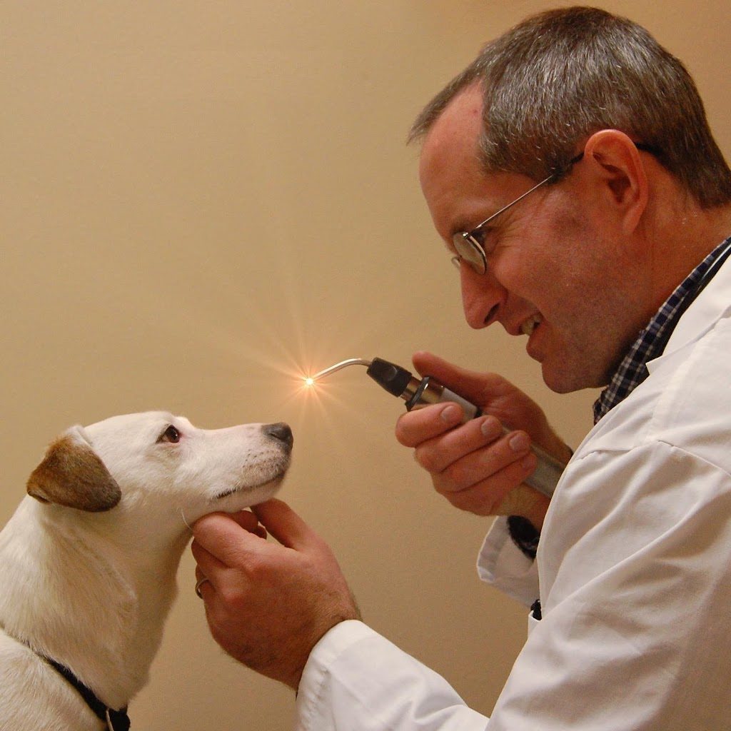 Animal hospital in Lindon
