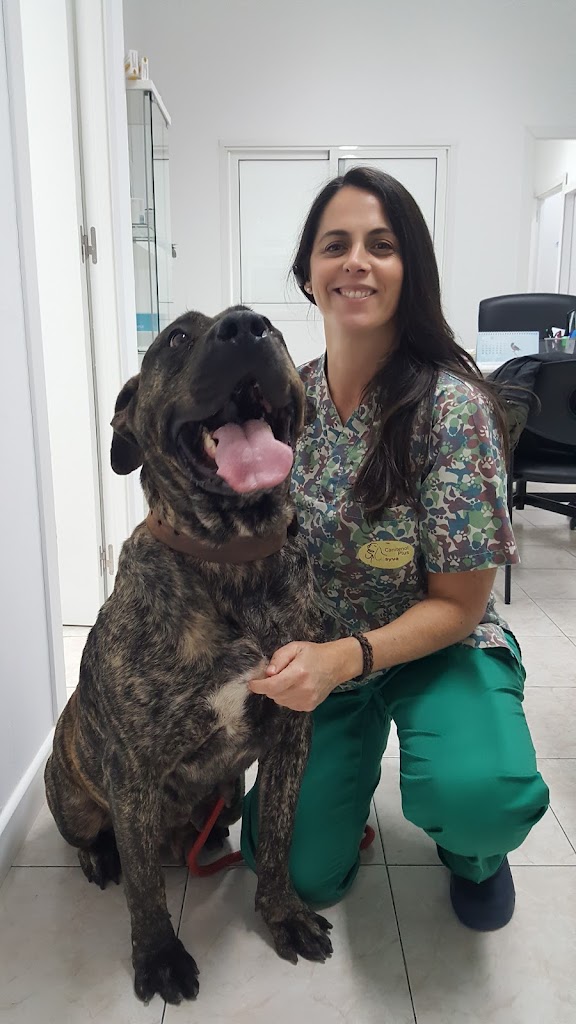 Centro Veterinario Nayra O'Shanahan — Perro