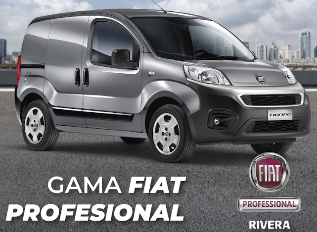 FIAT PROFESSIONAL FUERTEVENTURA — Todas