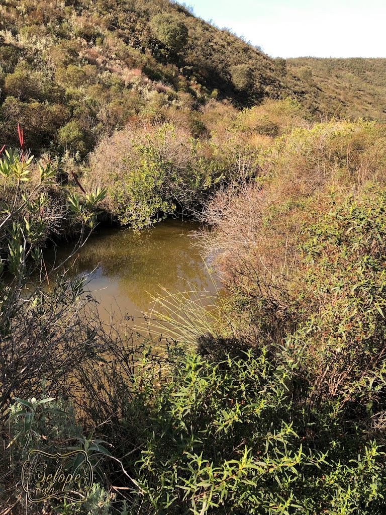Calzada Romana de Valverde