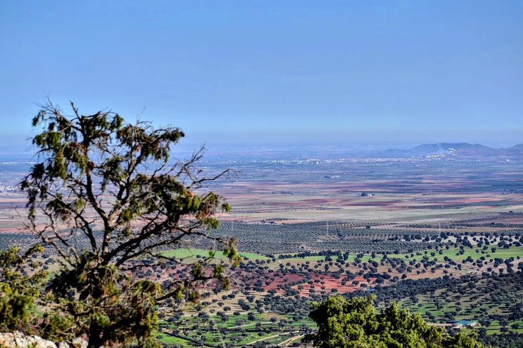 Merendero Umbria Del Madronal