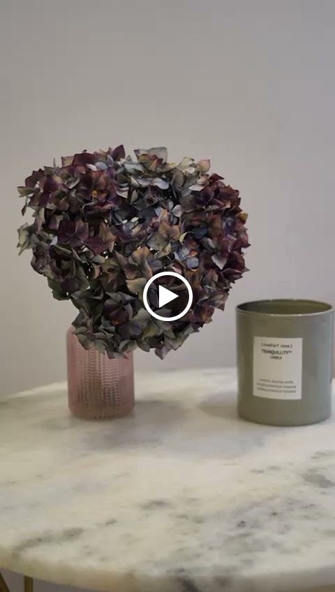 Om estetica — Videos