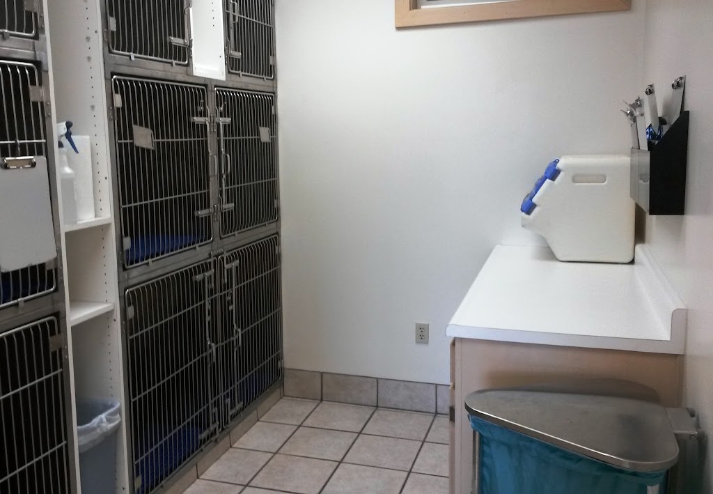 Veterinarian in West-Jordan