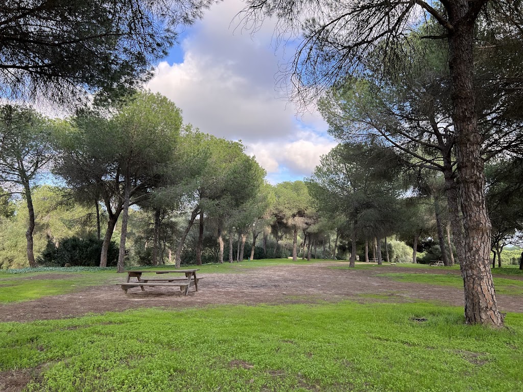 Pinares Aznalcazar