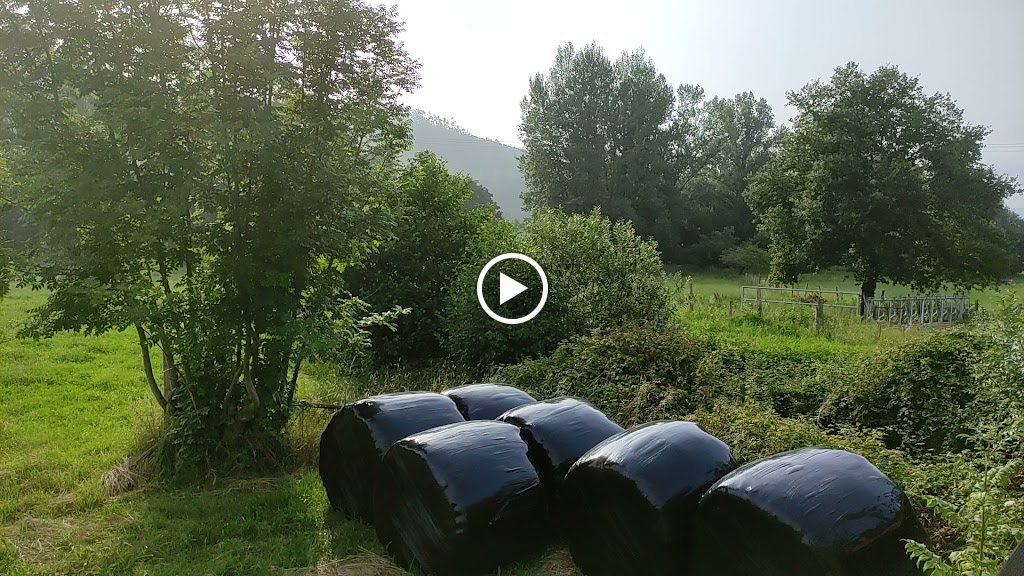 Camino Natural Via Verde del Pas (Astillero) — Videos