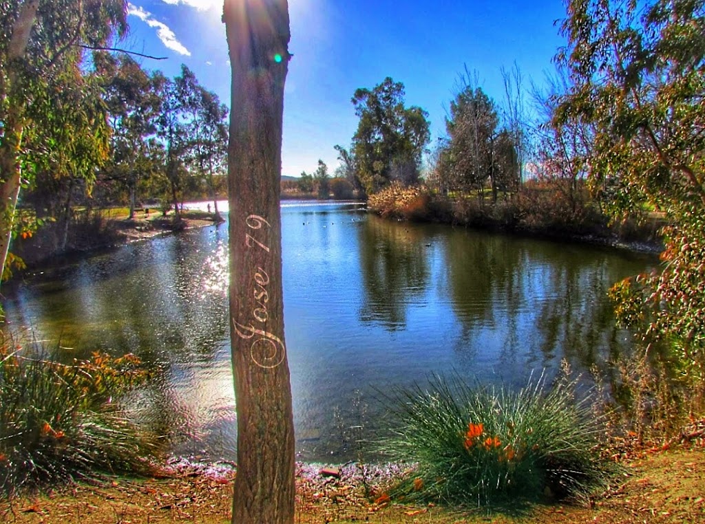 Parque Enrique Tierno Galvan
