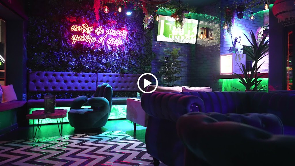 Moshi Lounge — Del propietario