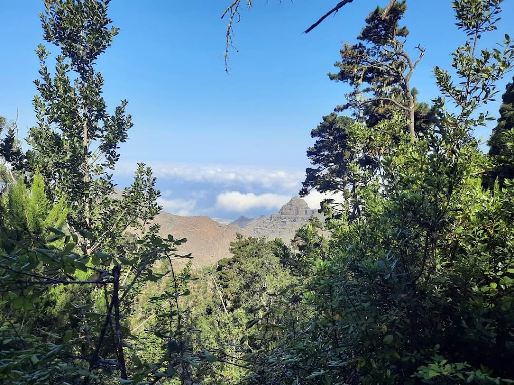 Pista Los Dornajos