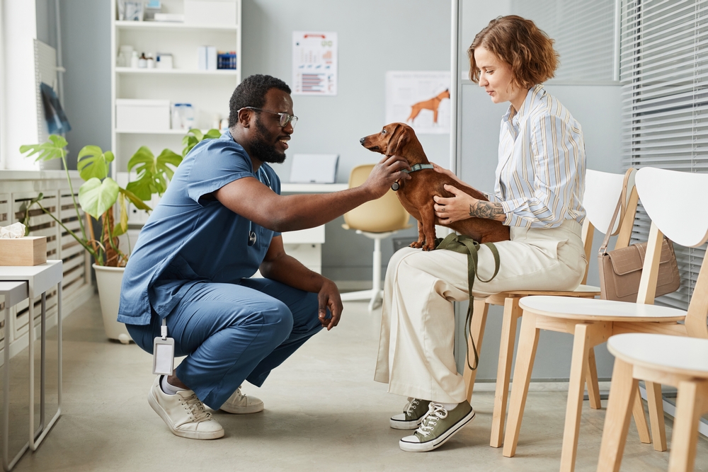 Clinica Veterinaria Montornes — Del propietario