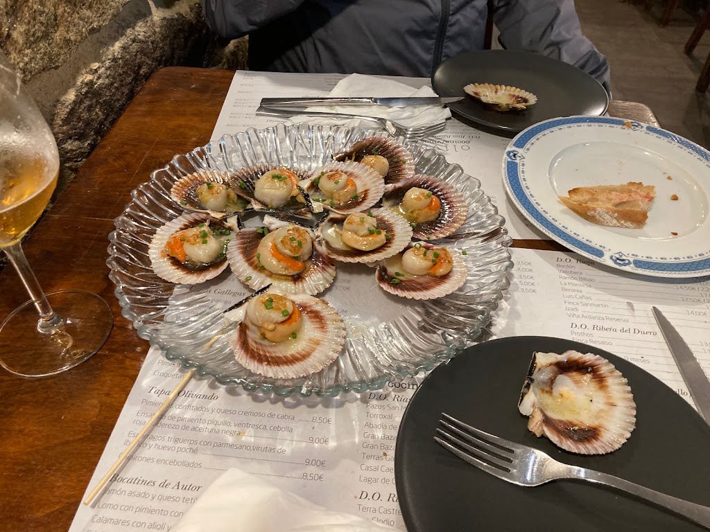 Olivando — Pectinidae