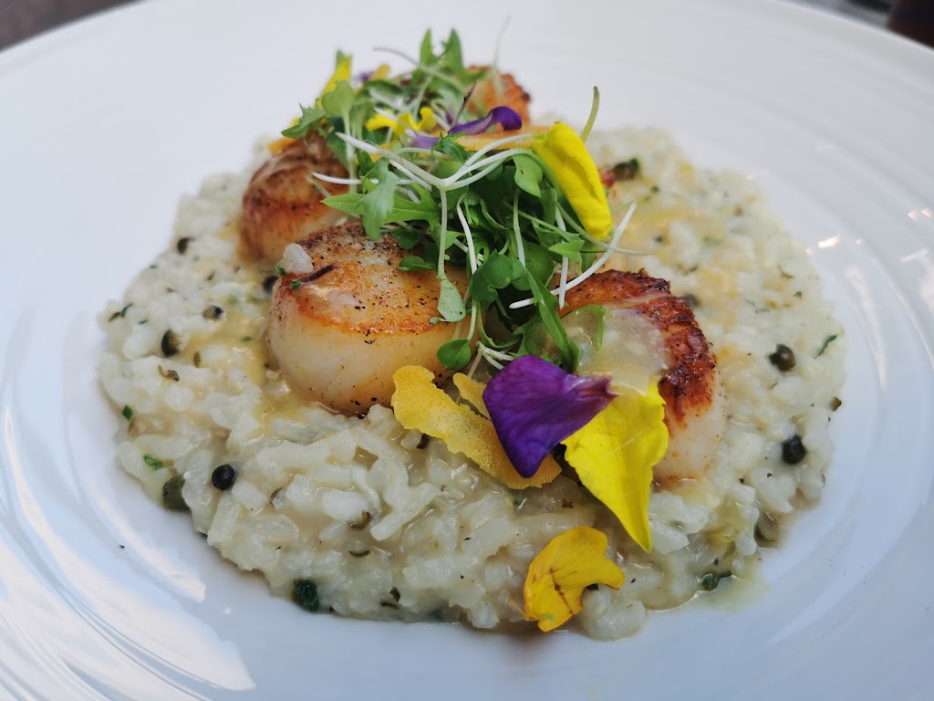 Scallops