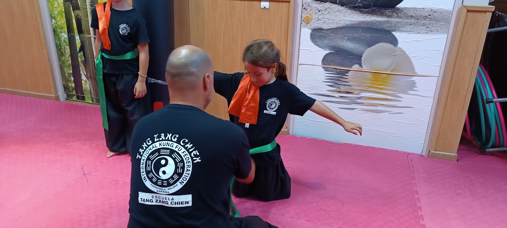 TANG ZANG CHIEN KUNG FU TAI CHI CHI KUNG — Comunidad