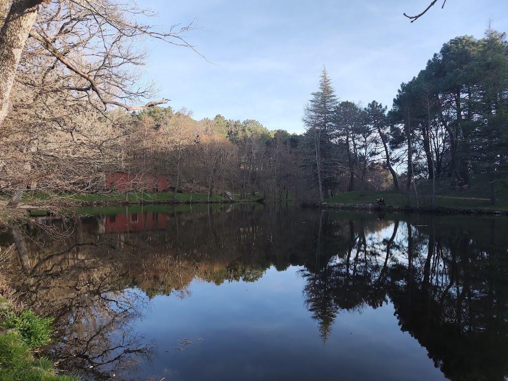 Las Navas del Marques - Parque Eolico