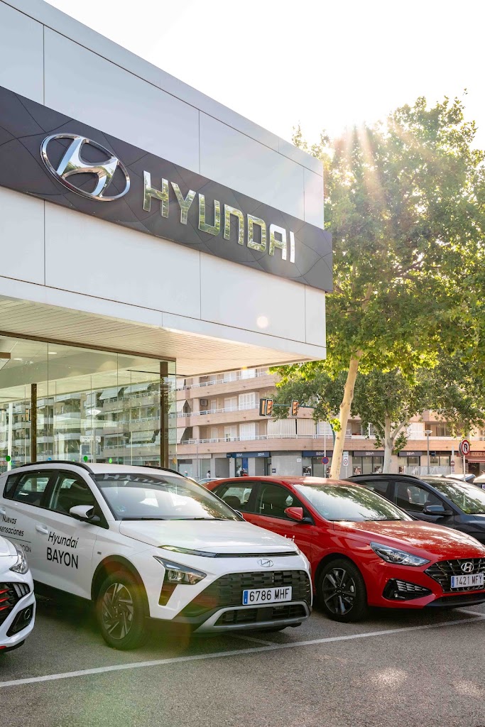 Hyundai Proa Automocion — Del propietario