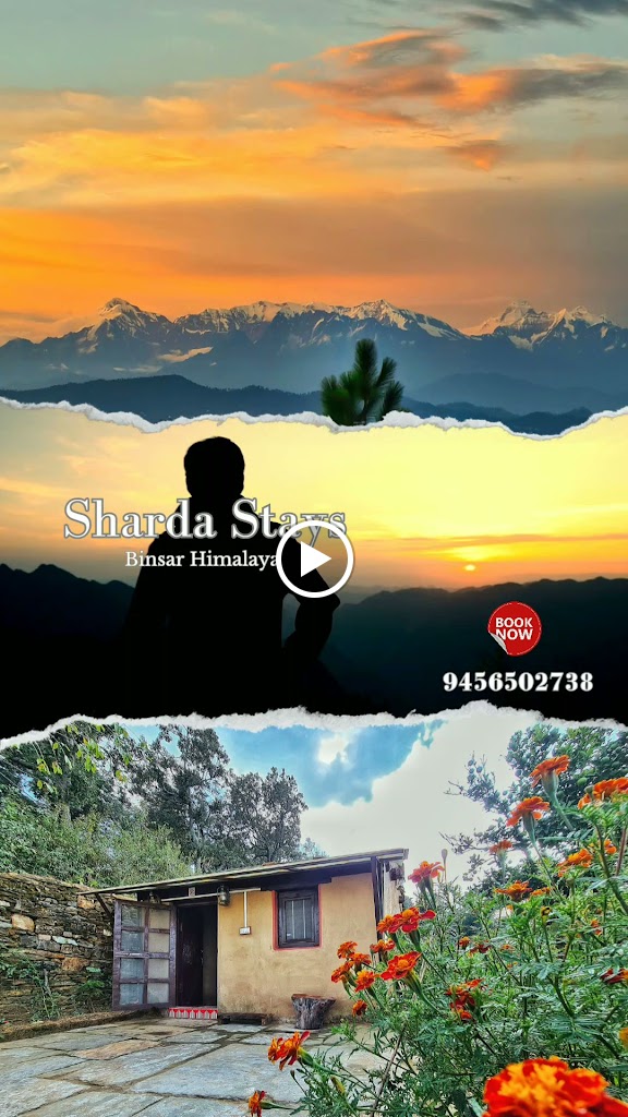 Videos