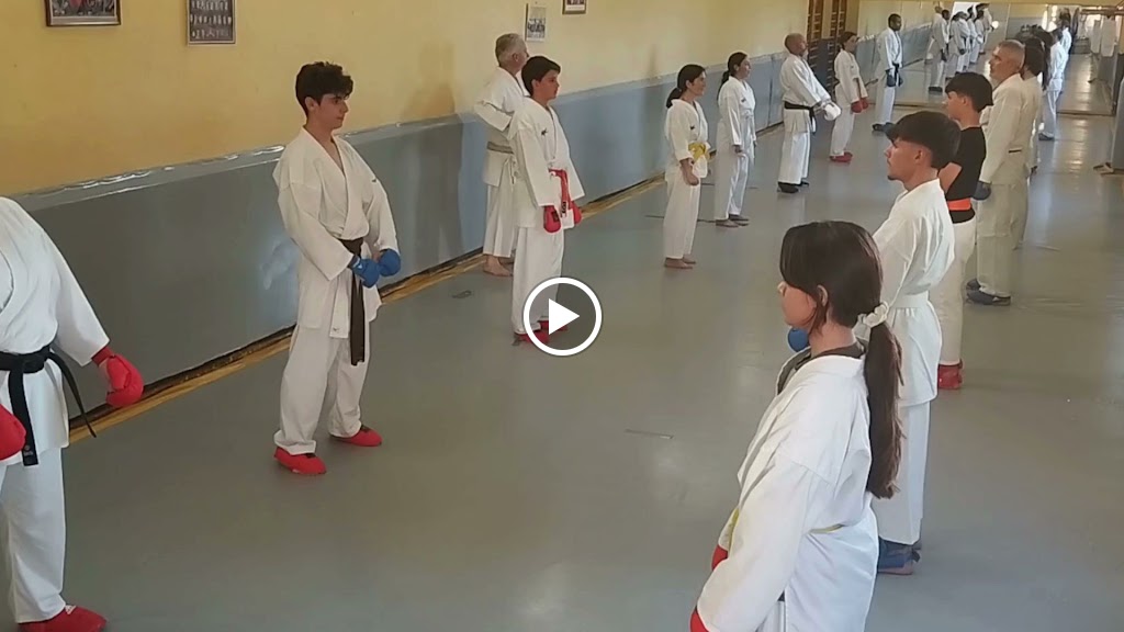 Escuela Karate Aranjuez ZEUS — Comunidad