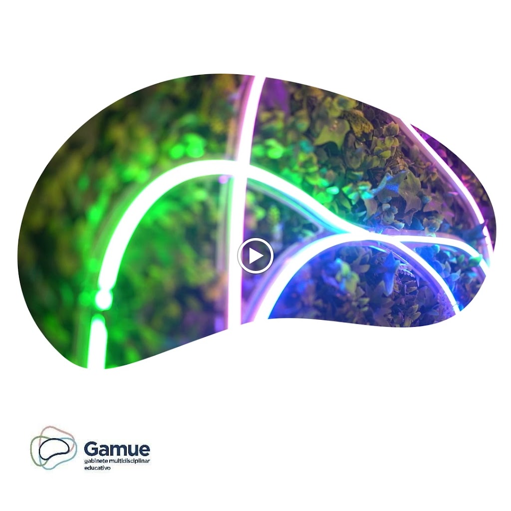Gamue - gabinete multidisciplinar educativo y academia — Del propietario