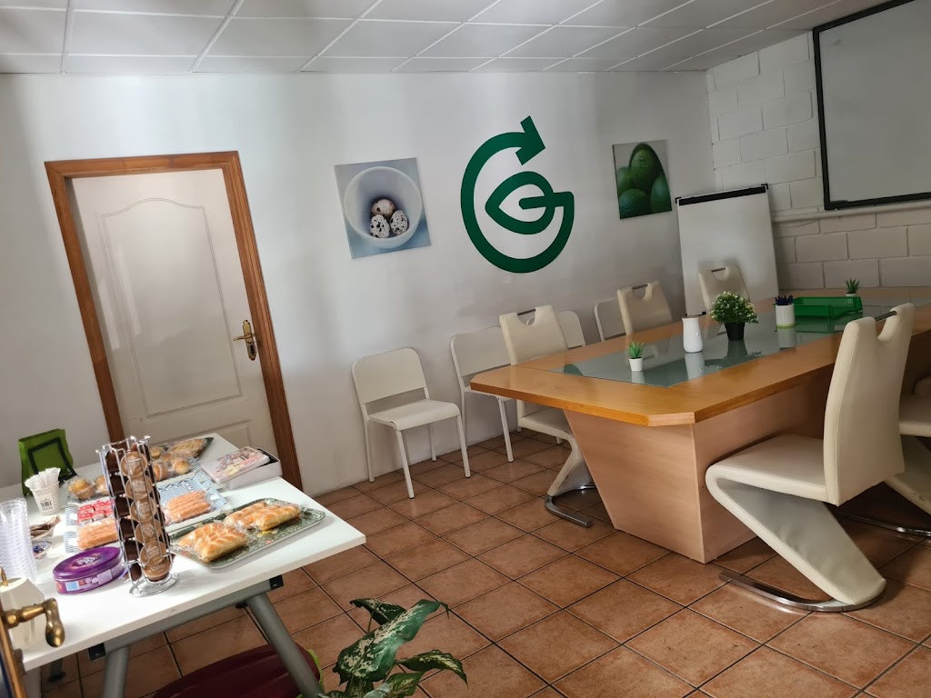 Green Car Service Tenerife — Del propietario