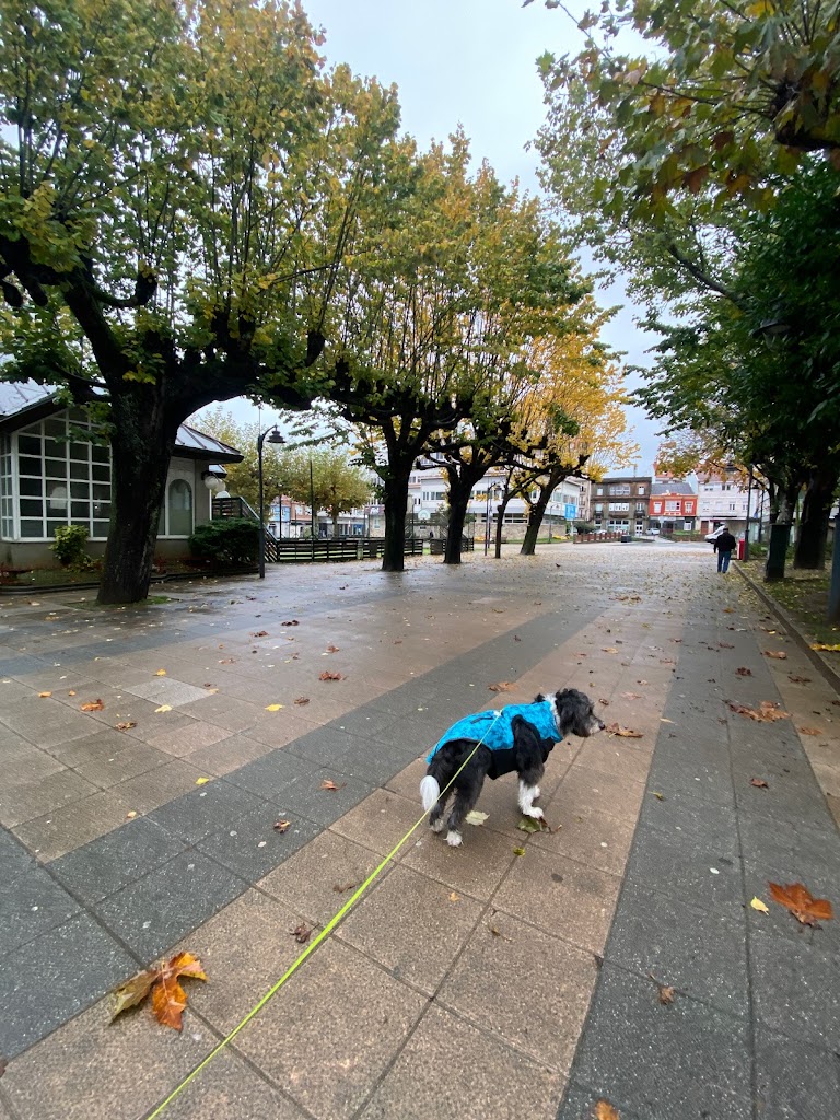 Parque Casa do Concello Carballo