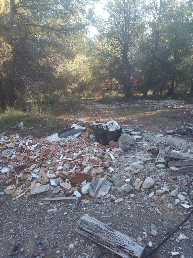 Bosque Bello Horizonte